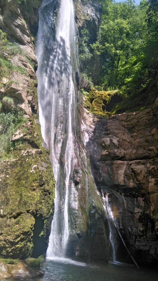 Le Chalet Du Blanc Spa yoga Bed & Breakfast Aillon-le-Jeune Bagian luar foto