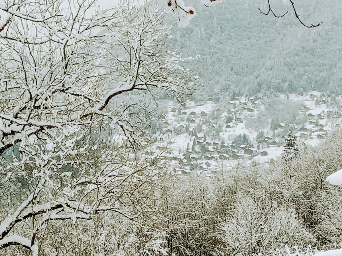 Le Chalet Du Blanc Spa yoga Bed & Breakfast Aillon-le-Jeune Bagian luar foto