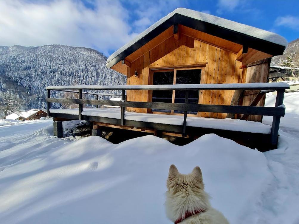 Le Chalet Du Blanc Spa yoga Bed & Breakfast Aillon-le-Jeune Bagian luar foto