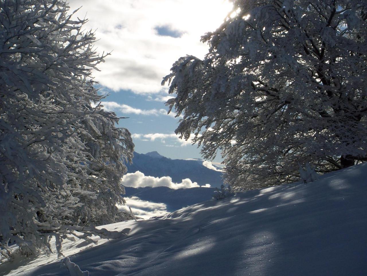 Le Chalet Du Blanc Spa yoga Aillon-le-Jeune Bagian luar foto
