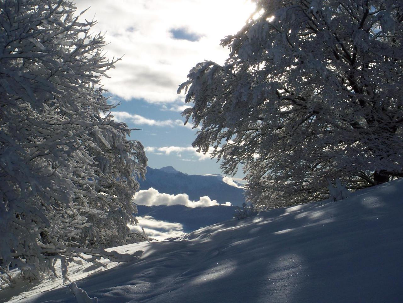 Le Chalet Du Blanc Spa yoga Bed & Breakfast Aillon-le-Jeune Bagian luar foto